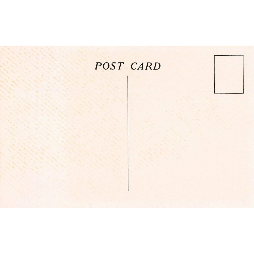 Hyde Park New York NY Franklin D Roosevelt Home Postcard Ruth Perkins Safford - Picture 2 of 2